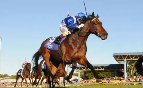 Ironstein has transformed from a walker into a champion galloper. Ironstein has transformed from a walker into a champion galloper.